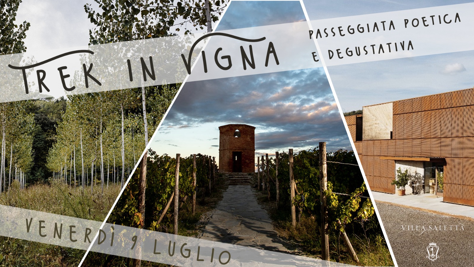 Trek in Vigna – Cammino Divino. Passeggiate poetiche e degustative